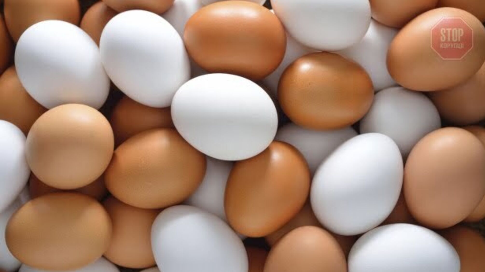 Експерт пояснив, чому дорожчають ціни на яйця