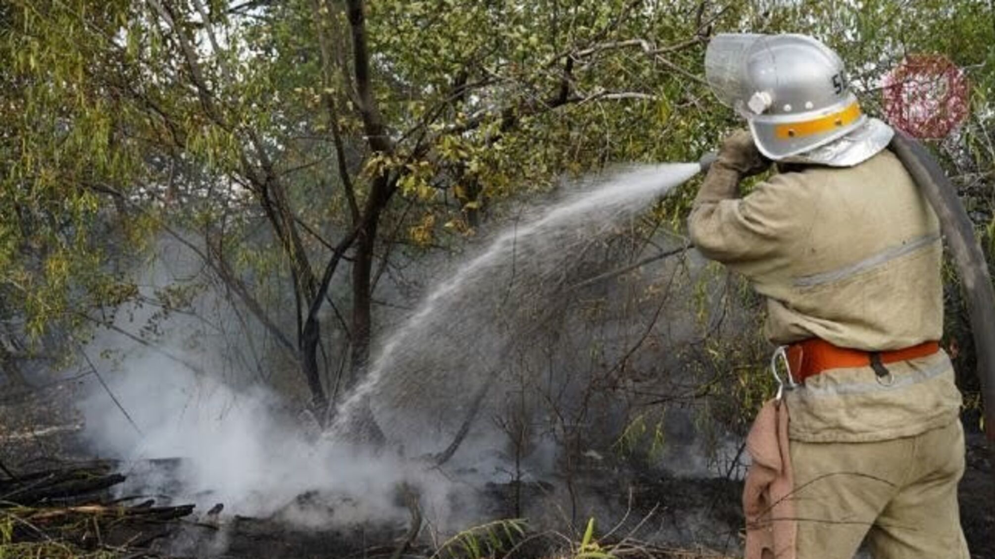 На Луганщині продовжують гасити пожежу вже п'ятий день