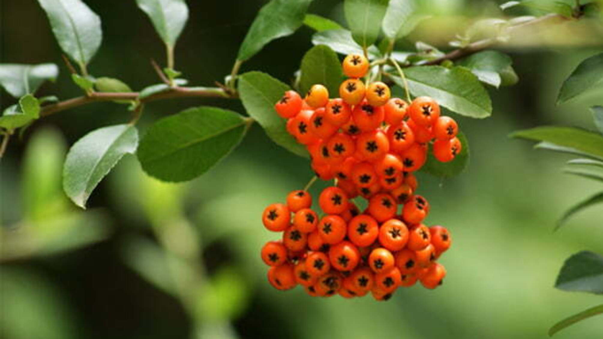 2 вересня: народний календар і астровісник