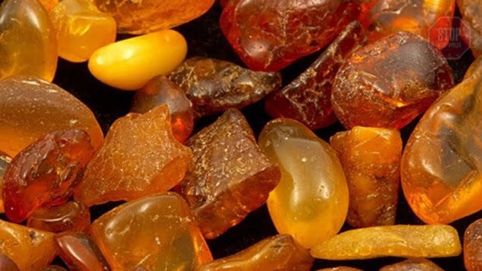 На Рівненщині іноземець організував підпільний бурштиновий цех