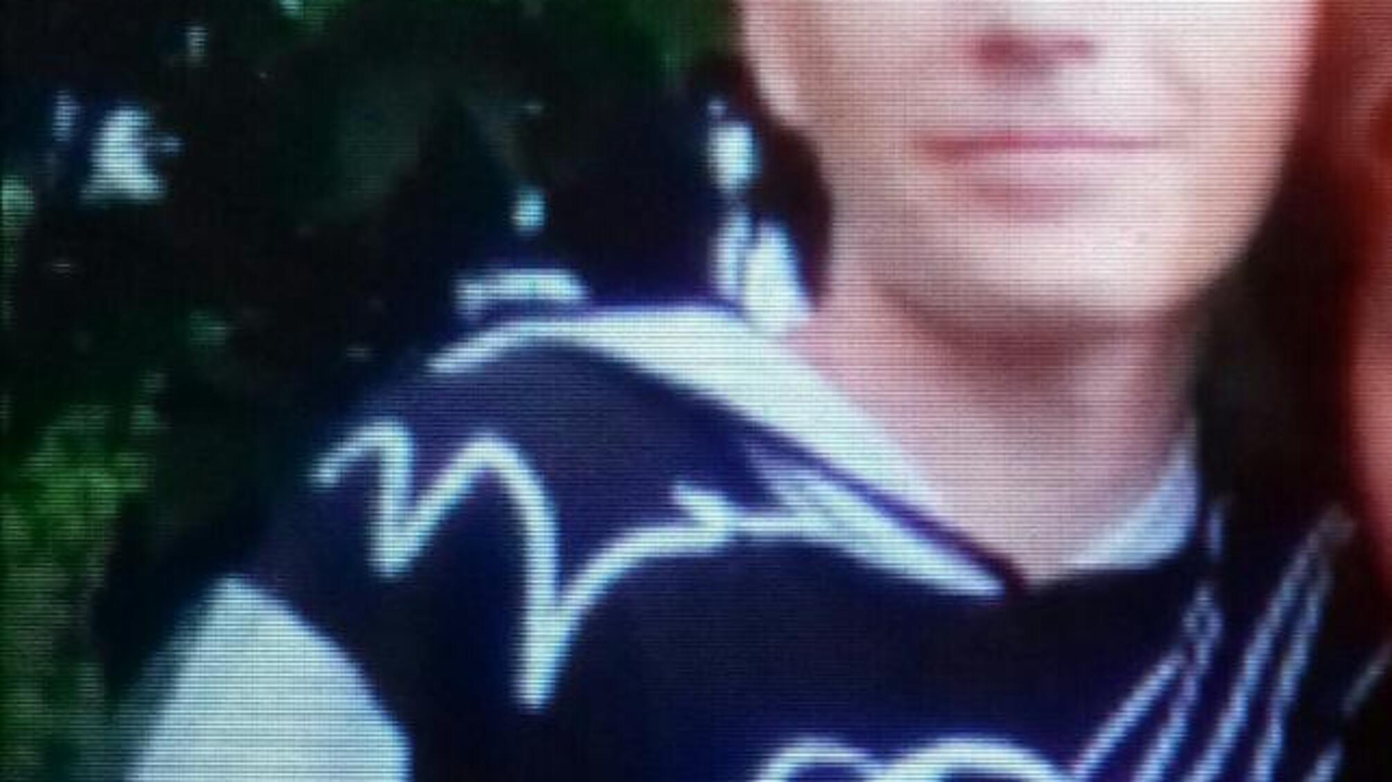 Увага! Розшукується неповнолітній Чміль Максим!