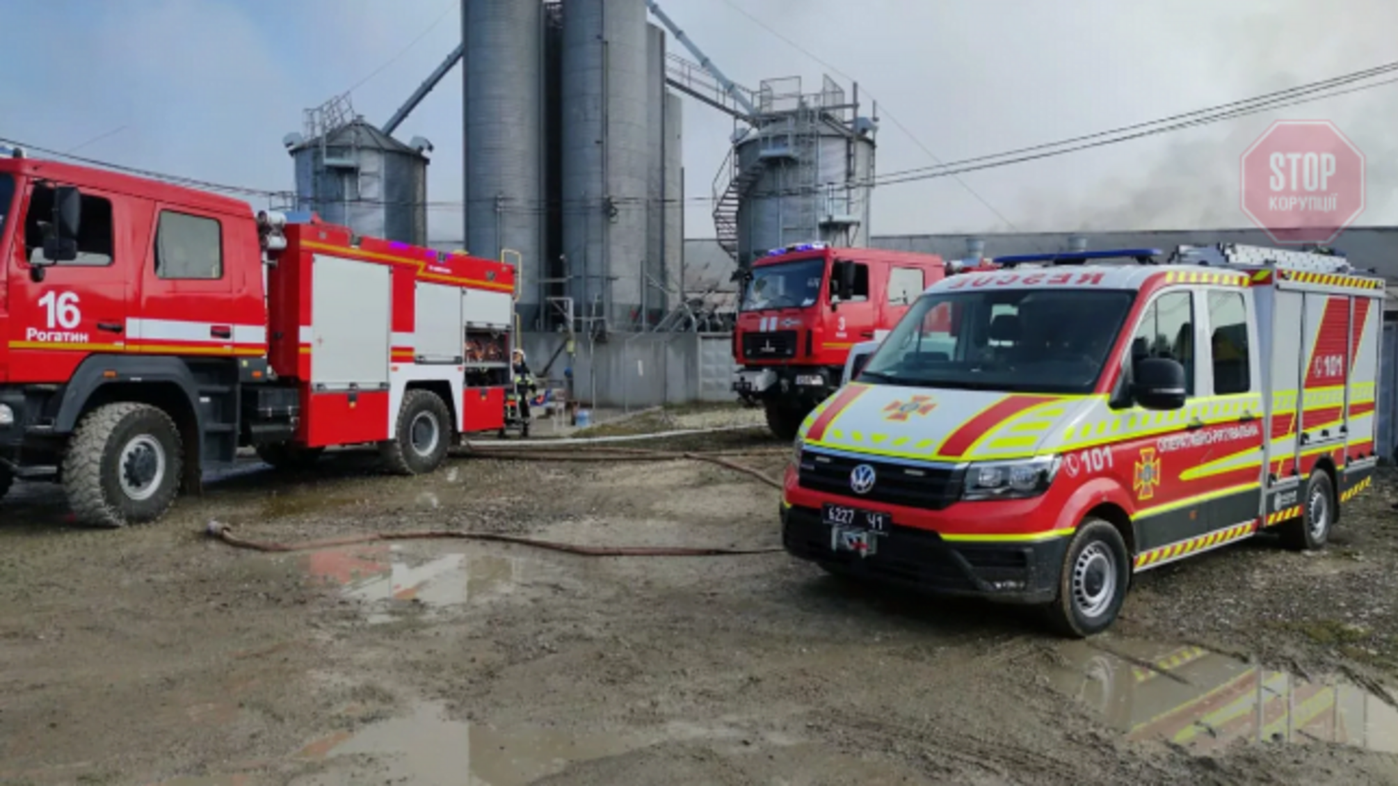 На Івано-Франківщині у пожежі загинули майже тисяча свиней
