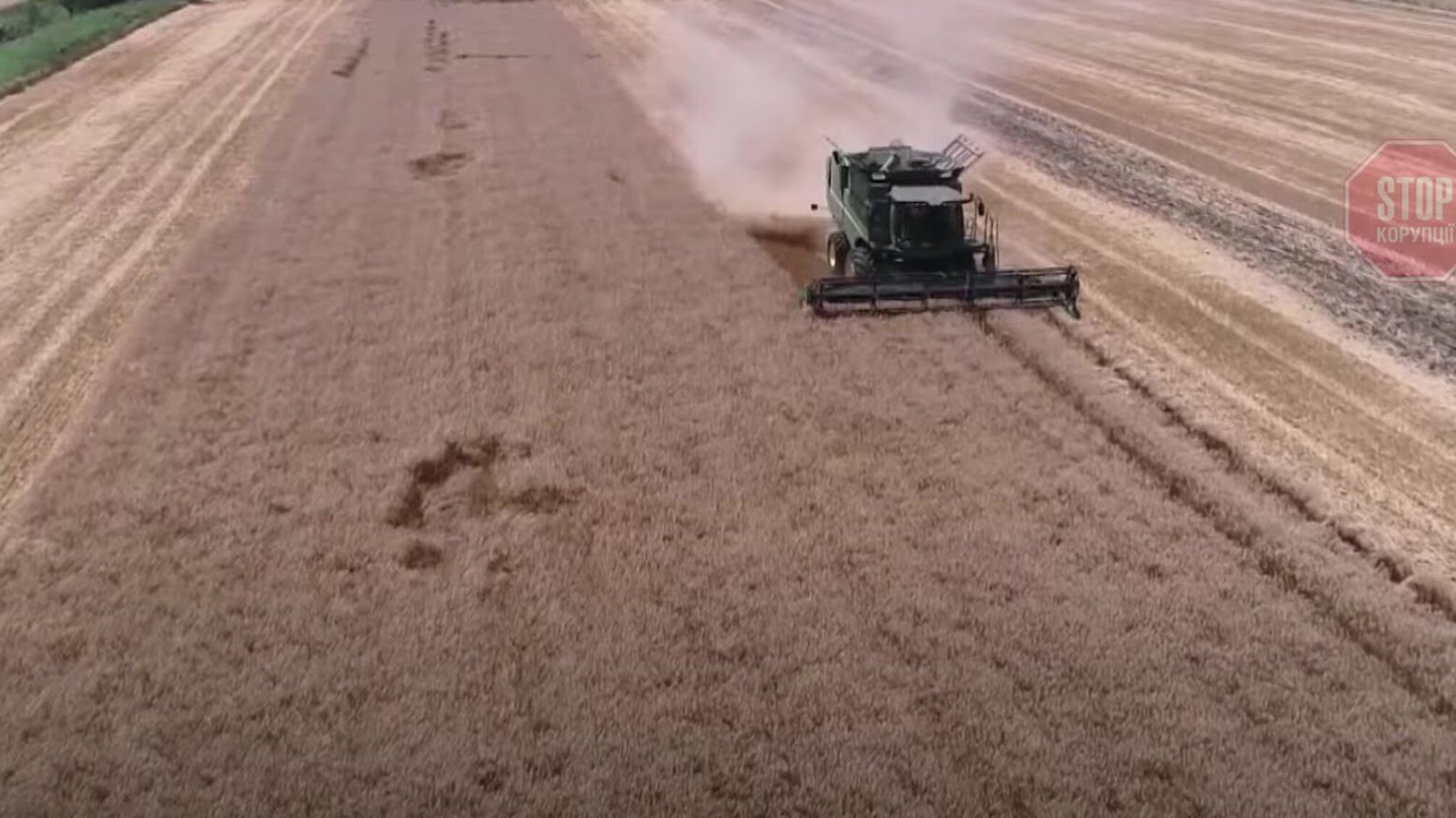 На Запорізькому кінному заводі голодують коні – правоохоронці заблокували збір врожаю