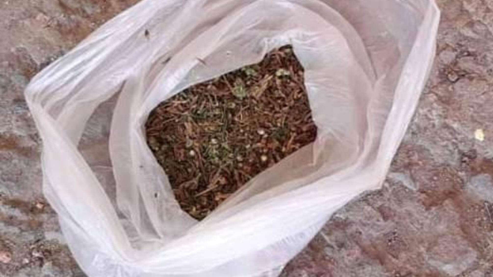 Окнянські поліцейські довели до суду справу щодо незаконного зберігання наркотиків місцевим мешканцем