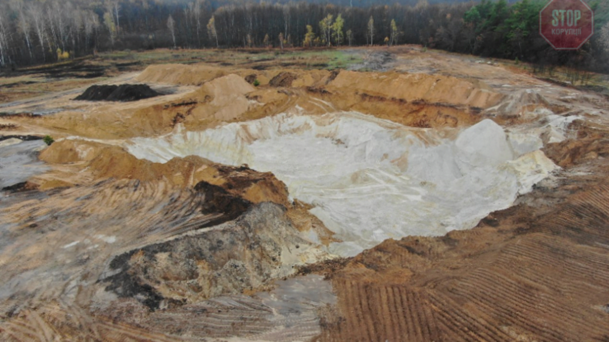 На Харківщині фермер завдав державі понад 600 млн грн збитку