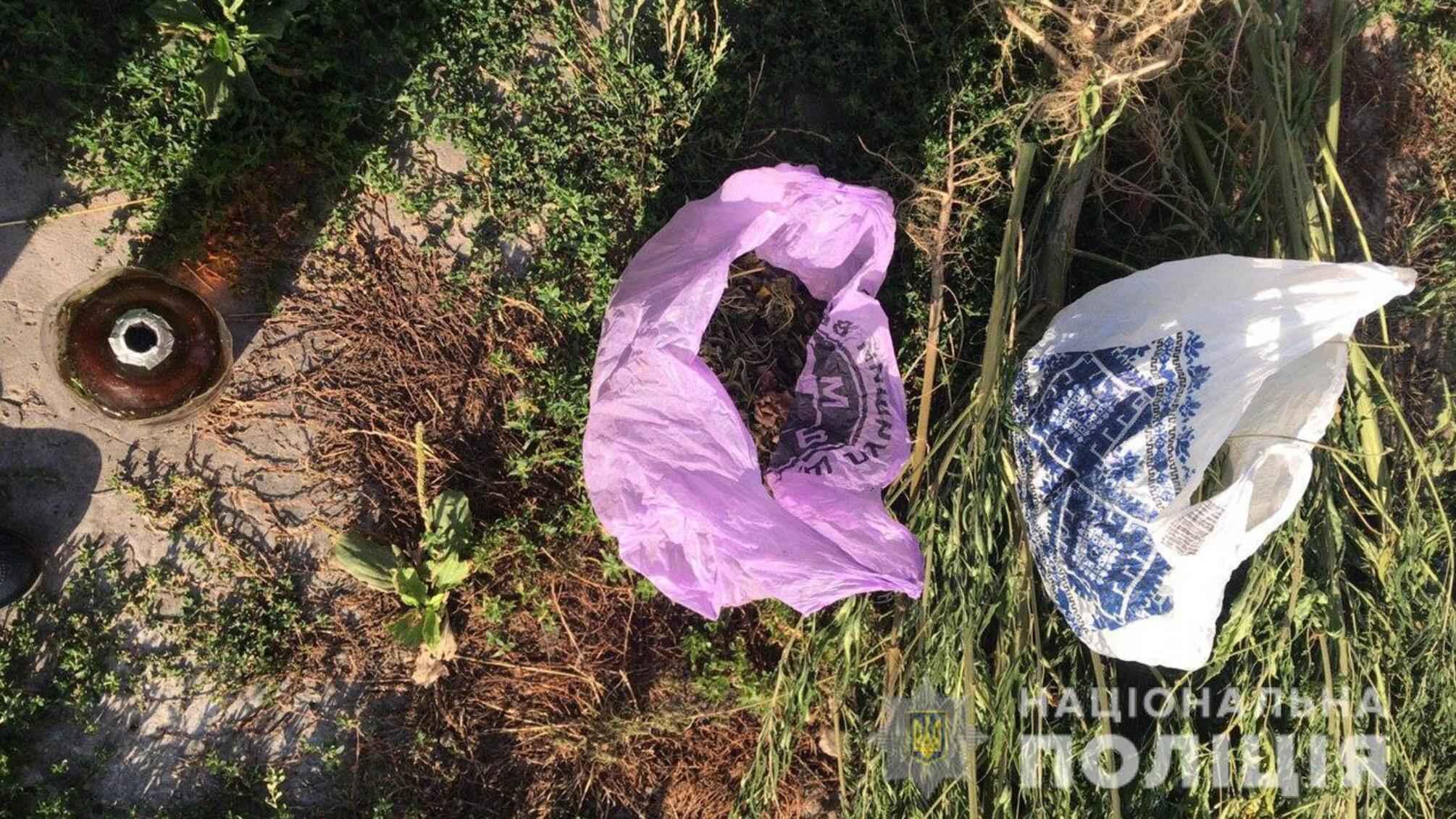 Правоохоронці викрили жителя Саврані у вирощуванні та зберіганні наркомісткого зілля, а також організації місця для його вживання