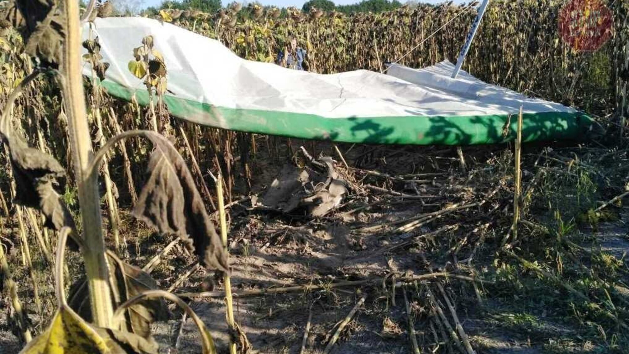 На Житомирщині впав дельтаплан, є загиблий (фото)