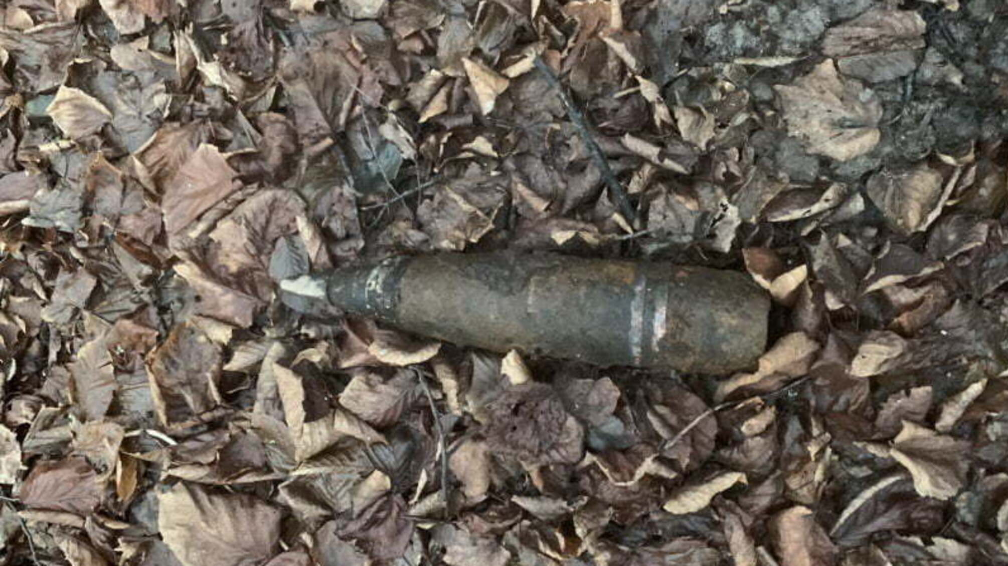 Житомирська область: піротехніки ДСНС області знищили два артилерійські снаряди часів минулих війн