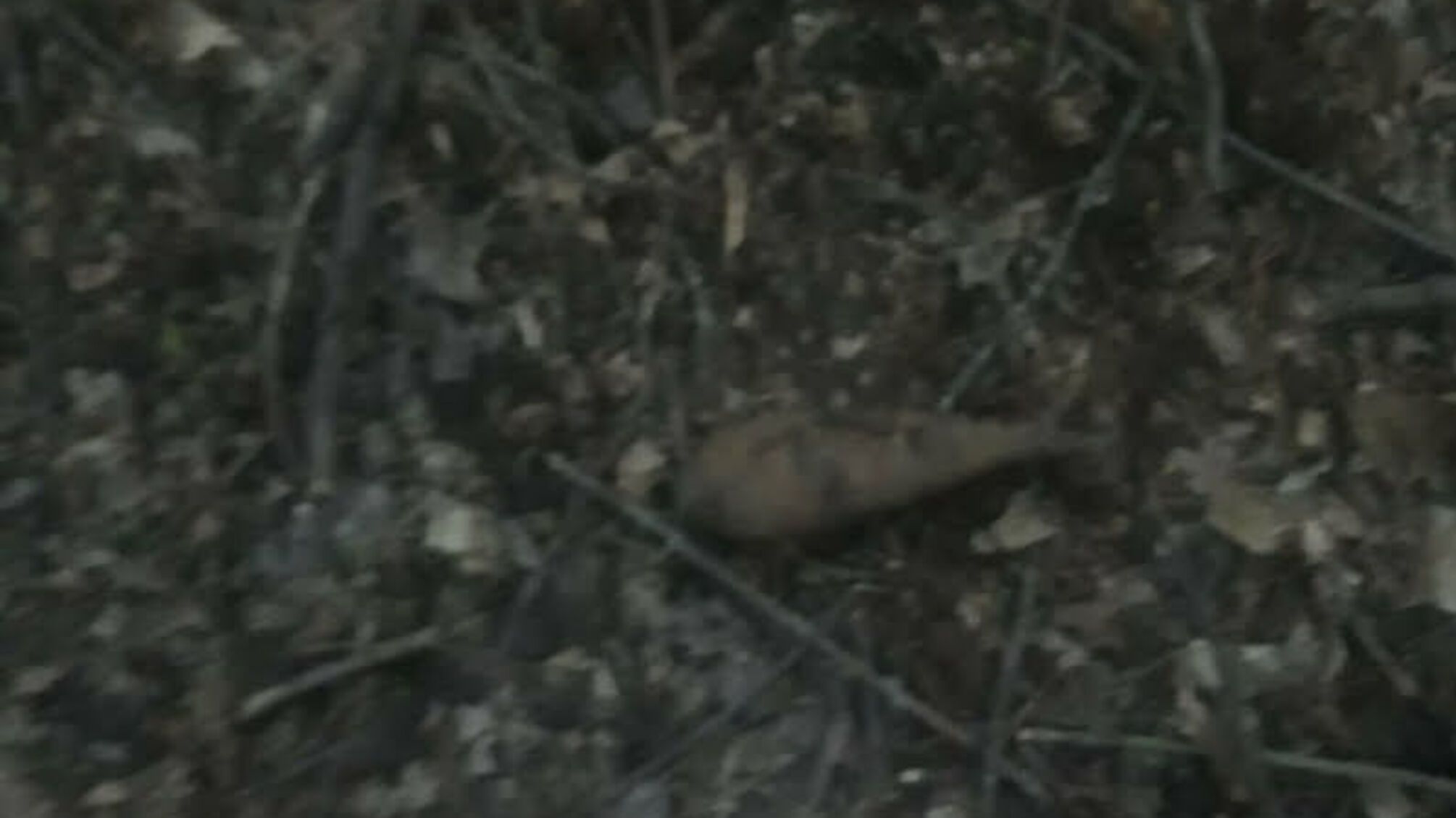 На Сумщині за минулу добу виявлено 3 застарілих боєприпаси