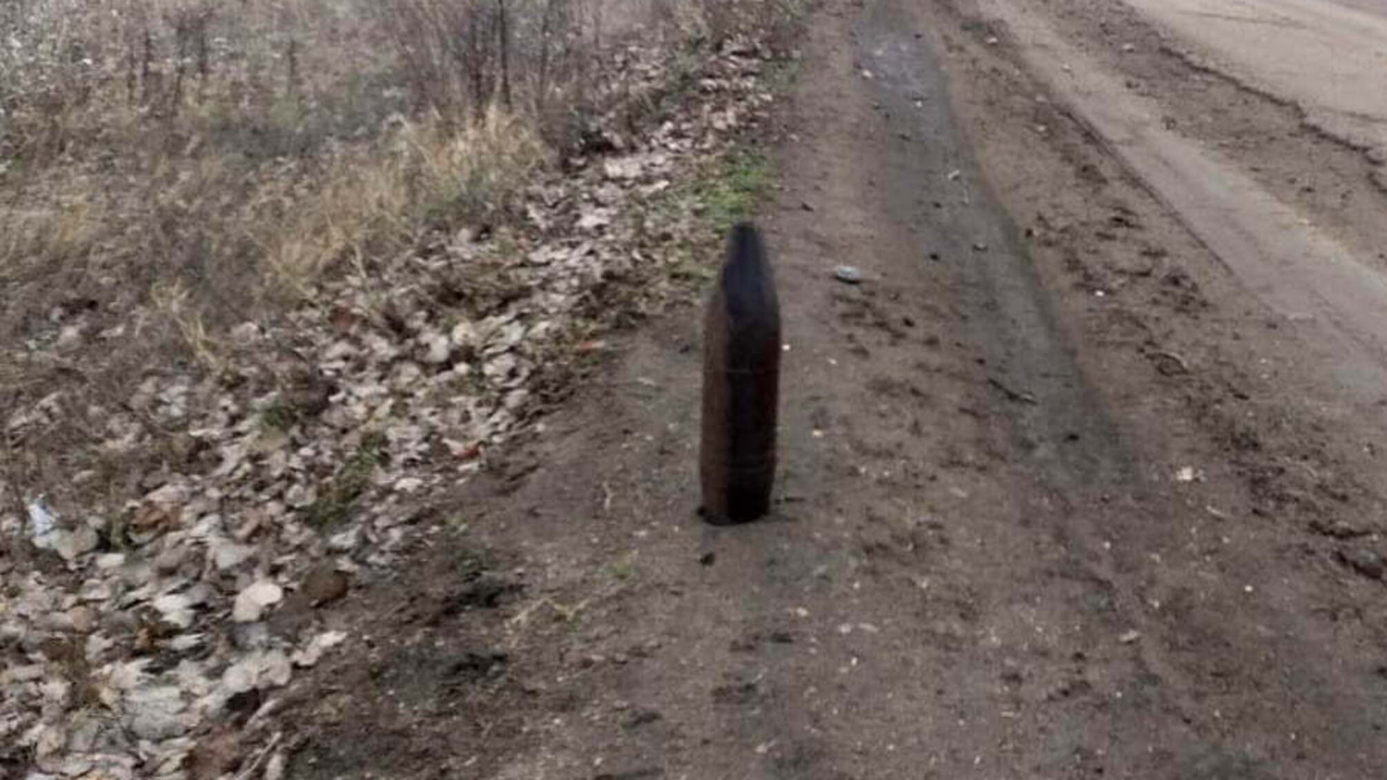 Миколаївська область: піротехніки ДСНС знищили артснаряд