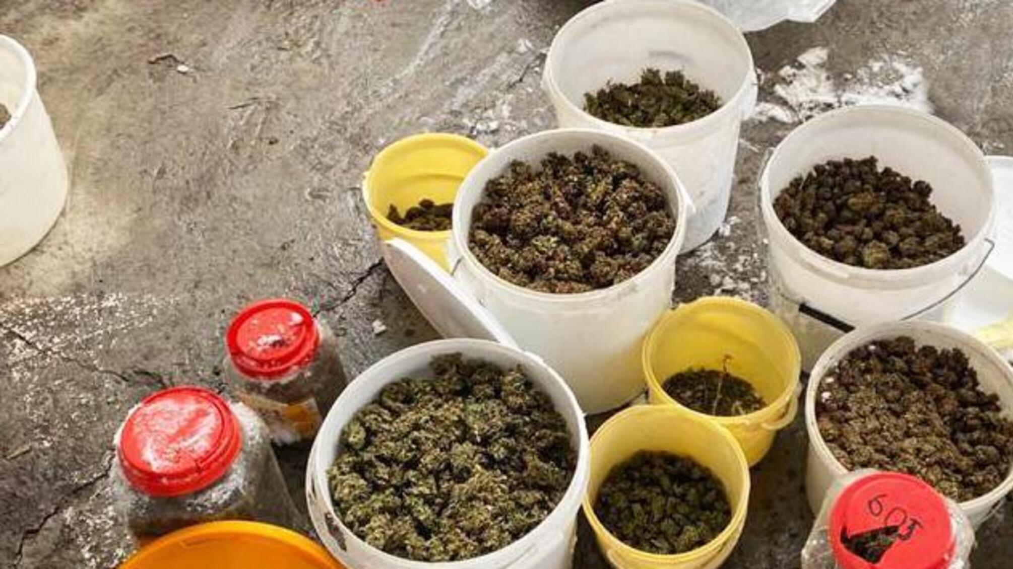 На Кіровоградщині правоохоронці припинили незаконну діяльність групи наркозбувачів