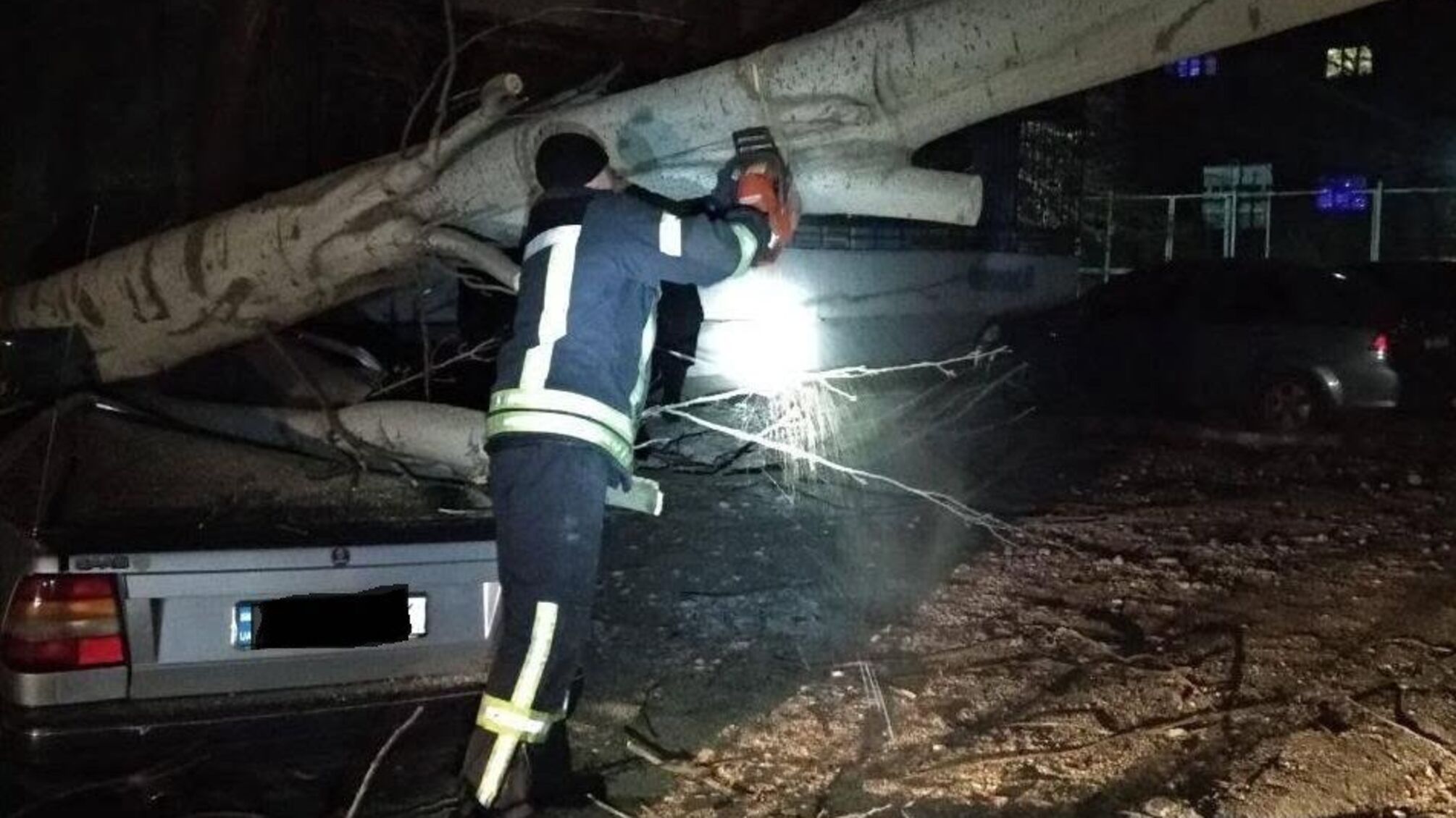 м. Запоріжжя: рятувальники прибрали повалені внаслідок сильного вітру дерева