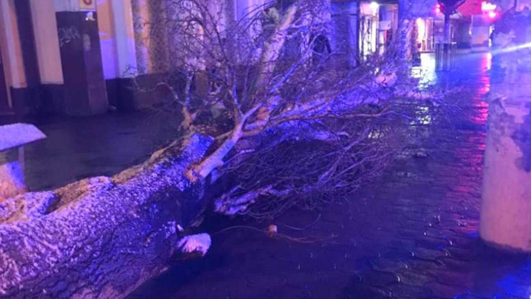 У Херсоні рятувальники прибрали три повалених дерева
