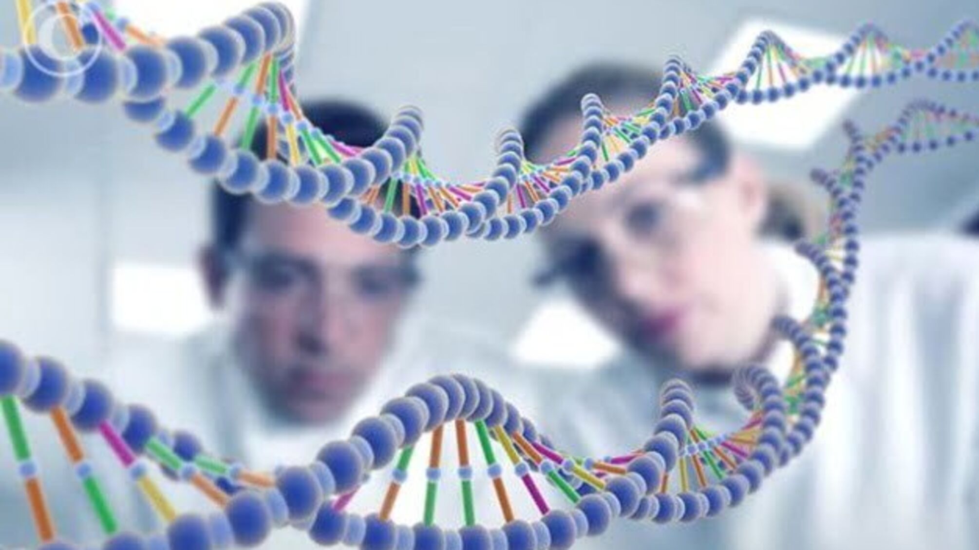 В Ужгородському університеті провели унікальне генетичне дослідження українців