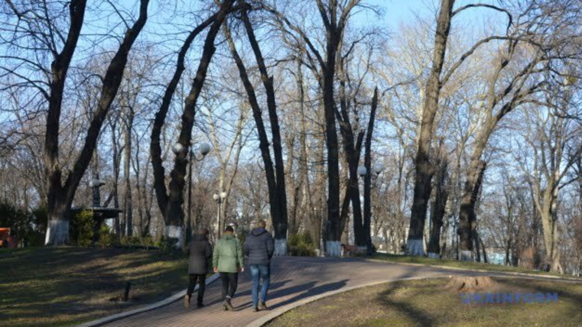 «Весняний» січень триває: у наступні кілька днів - зовсім трохи снігу і до +11°