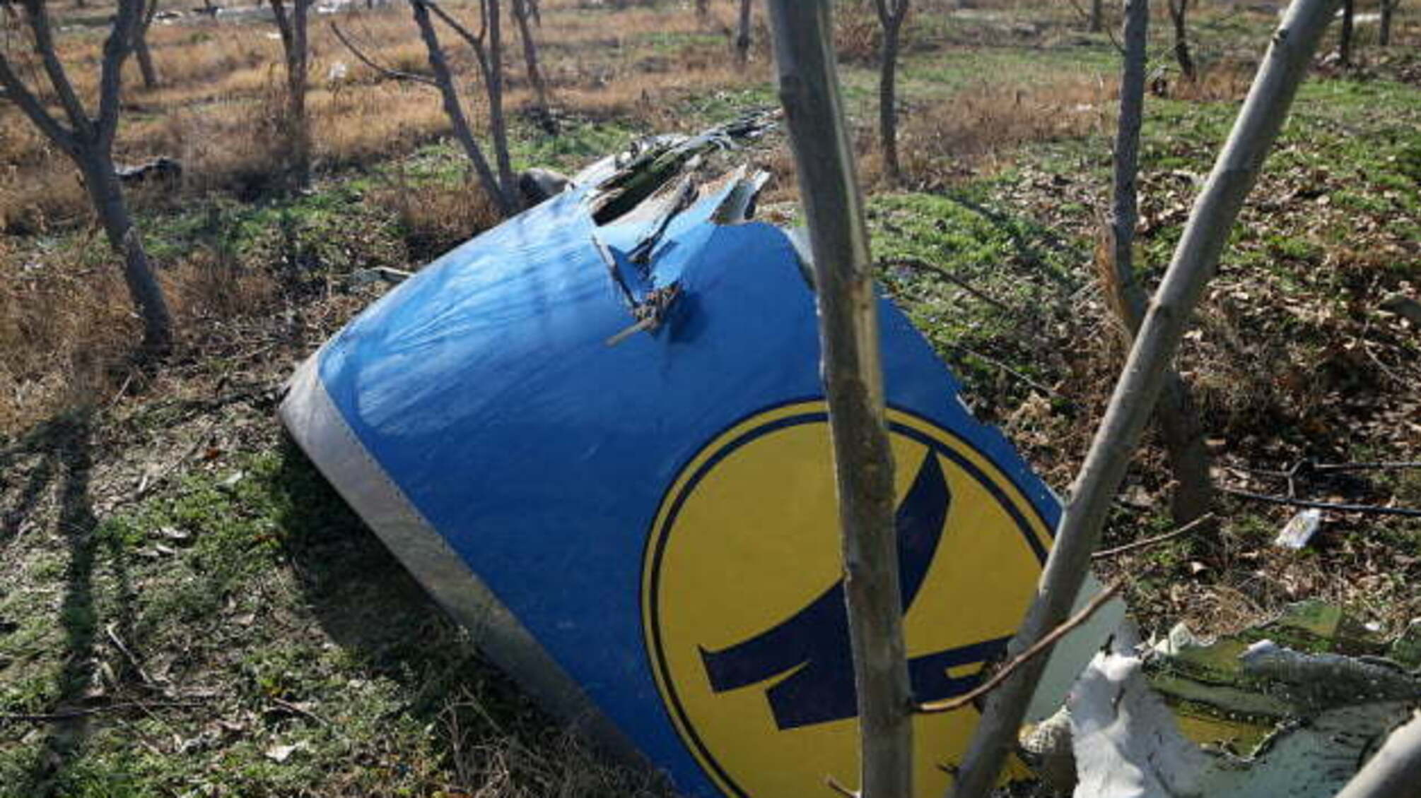 У Києві облаштують сквер пам'яті жертв катастрофи літака МАУ
