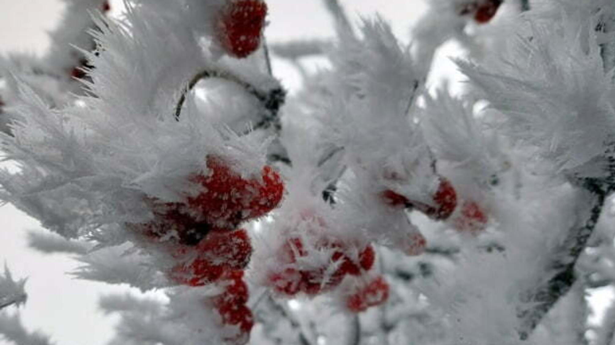На Водохреще Україну «заморозить» до -25°