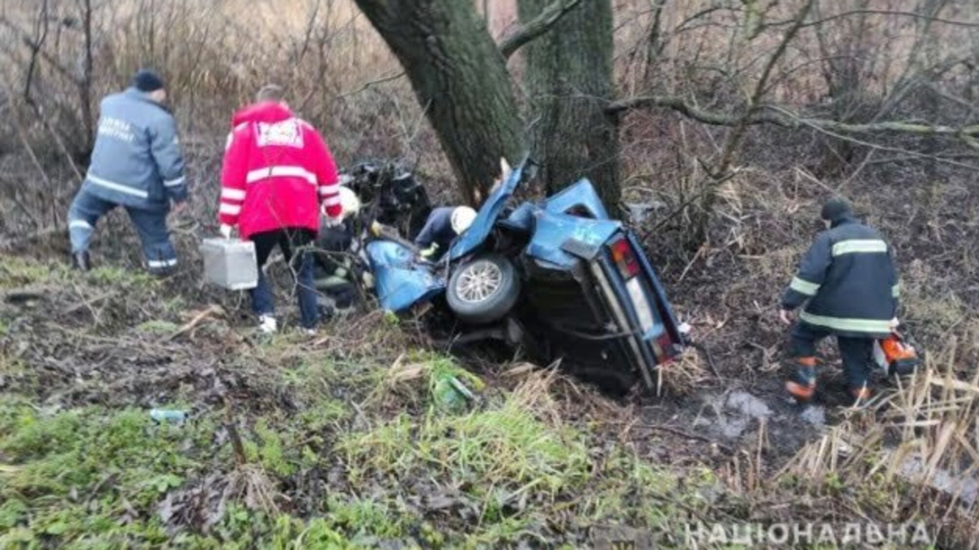 На Житомирщині автівка в'їхала у дерево, є загиблі