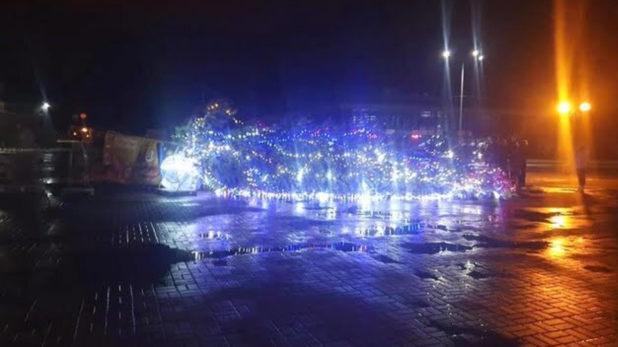 У Каневі сильний вітер повалив головну новорічну ялинку
