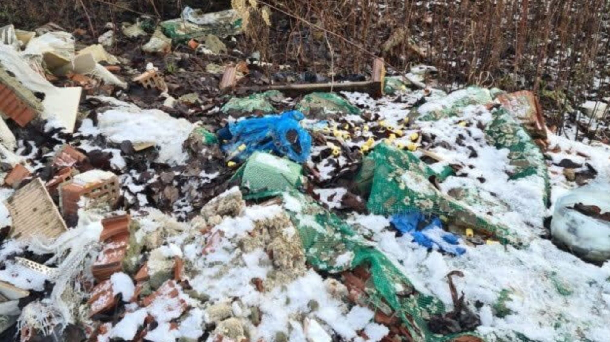 Поблизу Львова виявили звалище медичних відходів
