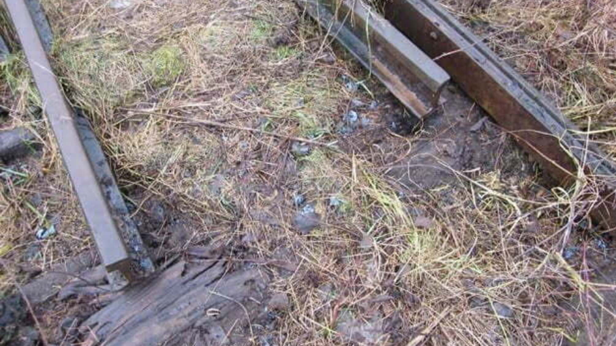 На Іршавщині поліція перевіряє факт демонтажу частини Боржавської вузькоколійки