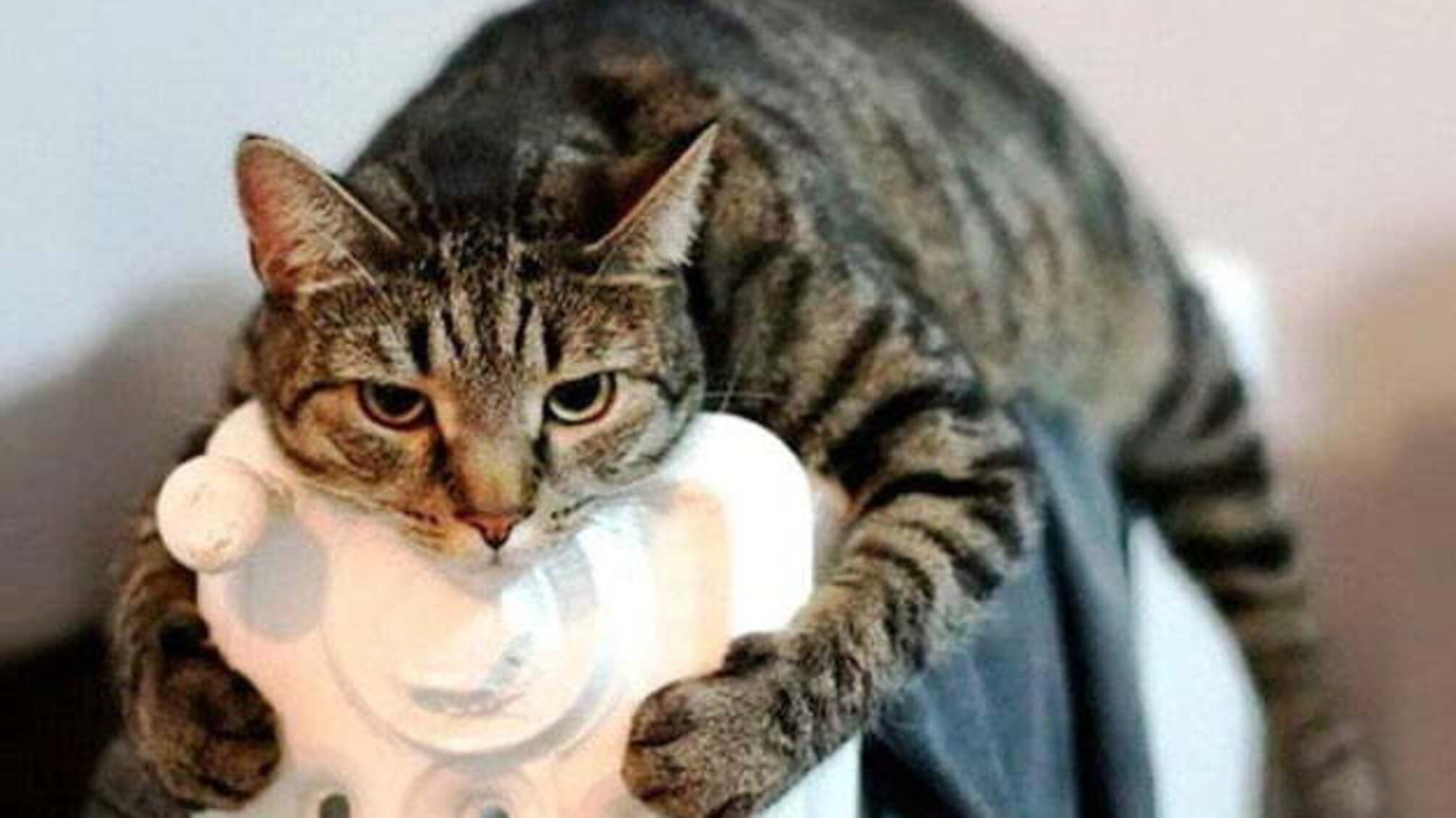 30 січня: народний календар і астровісник