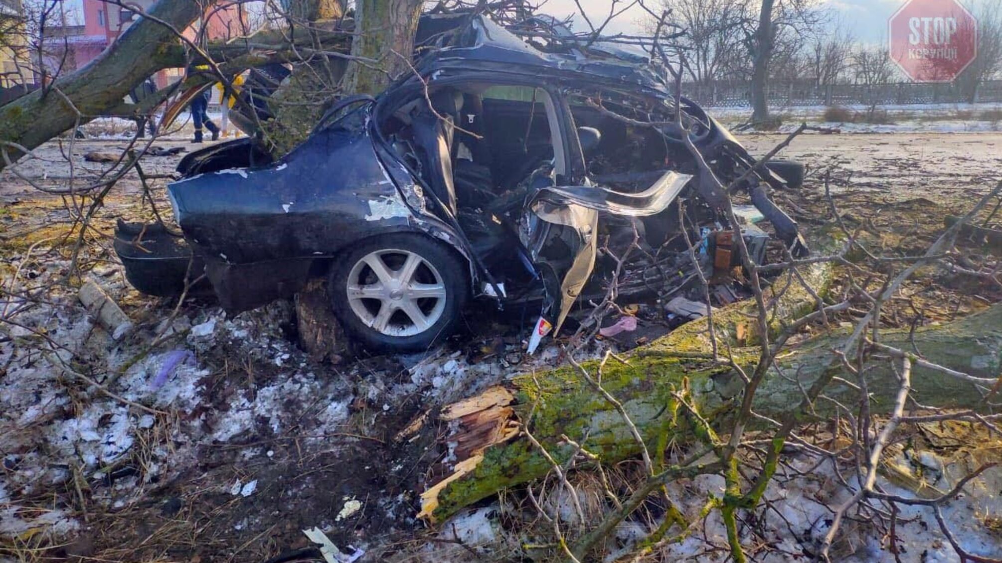 В Херсонской области автомобиль врезался в дерево, два человека погибли (фото)