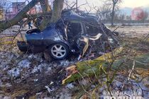 В Херсонской области автомобиль врезался в дерево, два человека погибли (фото)