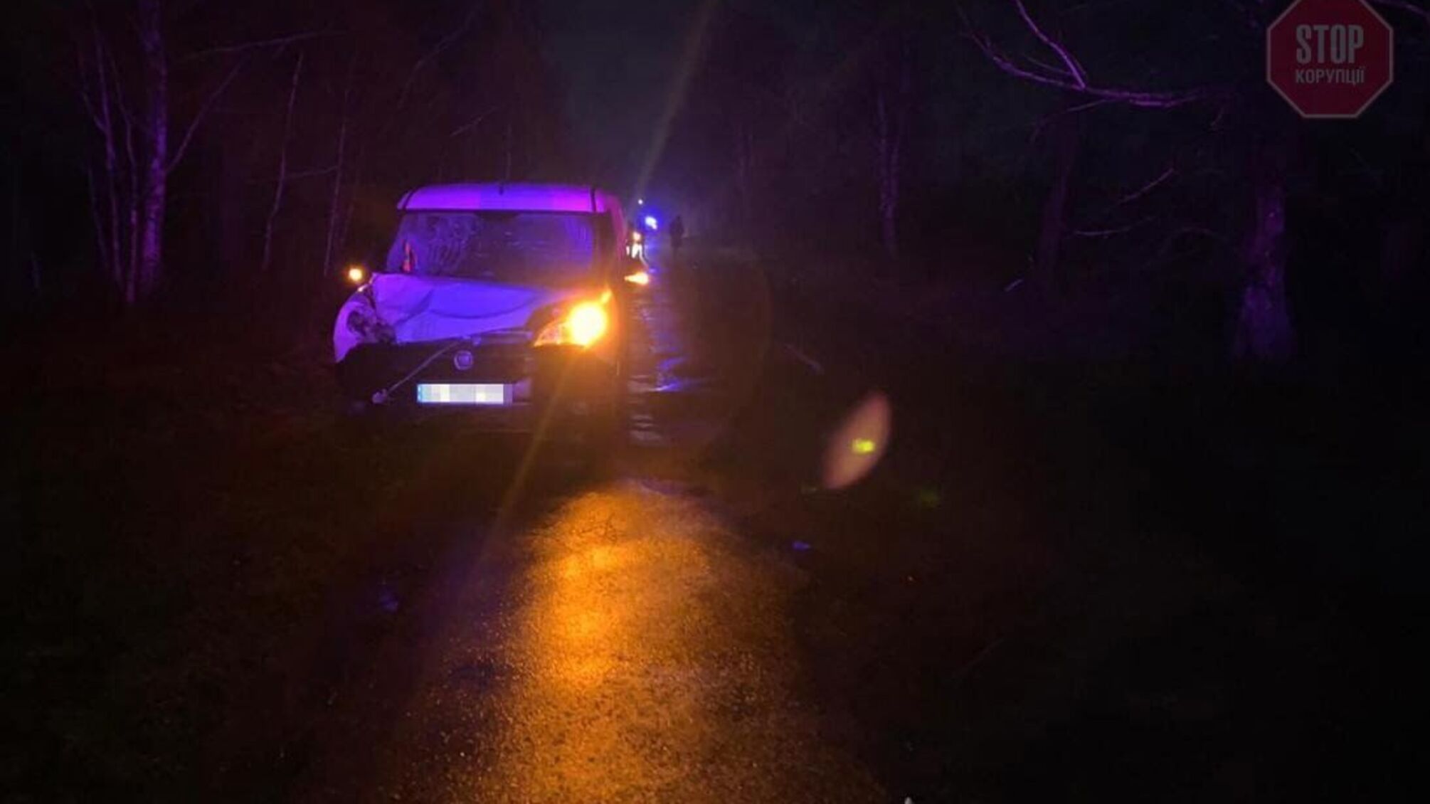 На Житомирщині легковик влетів у компанію дітей, є загиблі (фото)