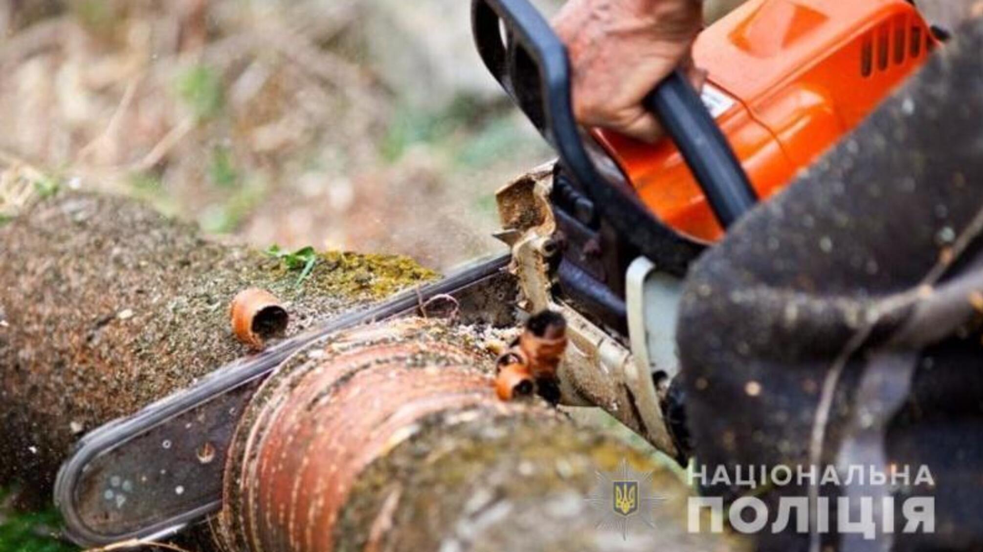 Могилів-Подільські слідчі повідомили про підозру «чорному лісорубові», який незаконно зрізав дерев на понад мільйон гривень