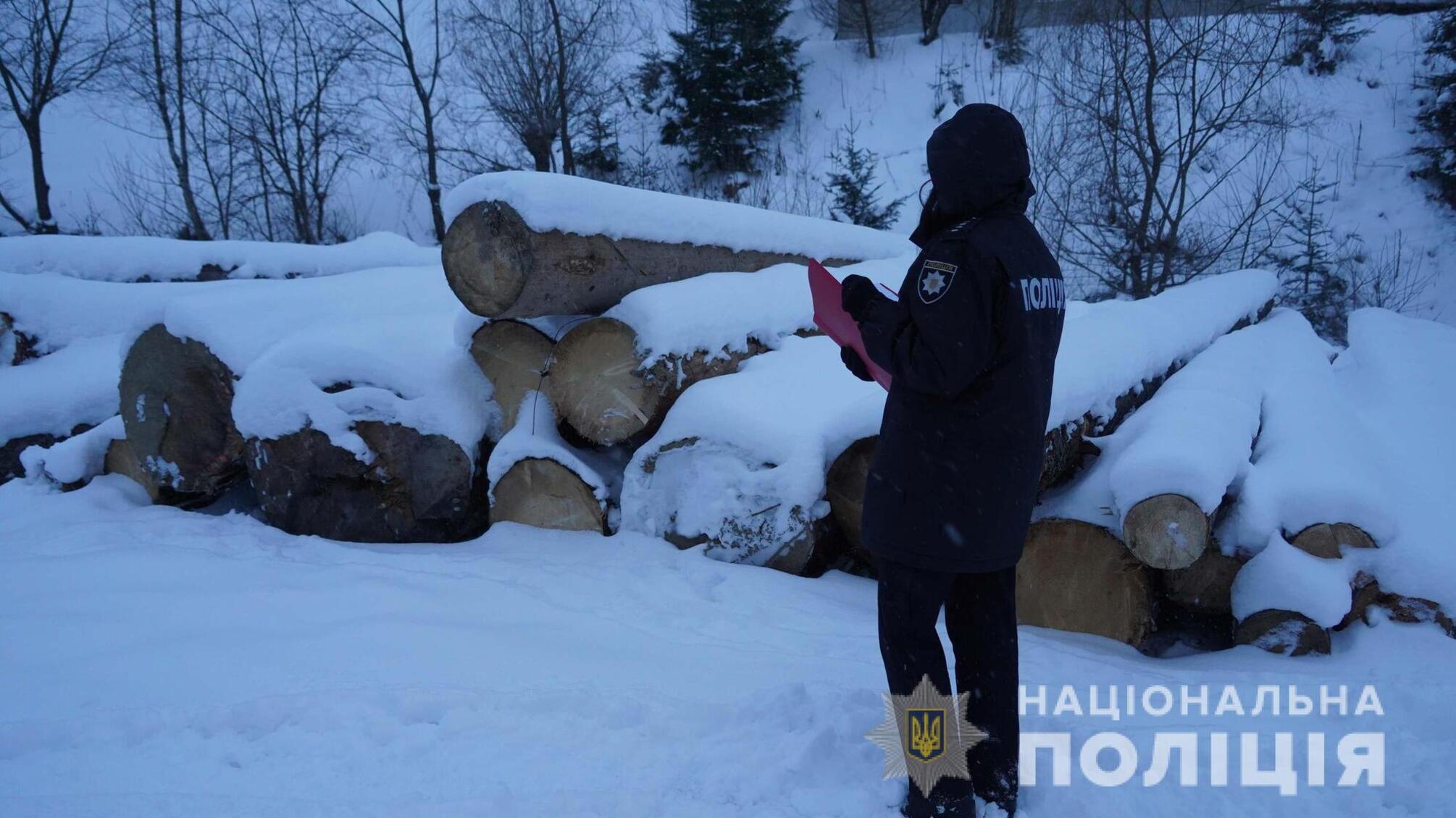 На Львівщині поліцейські проводять масштабне відпрацювання з виявлення фактів незаконної порубки та зберігання лісу