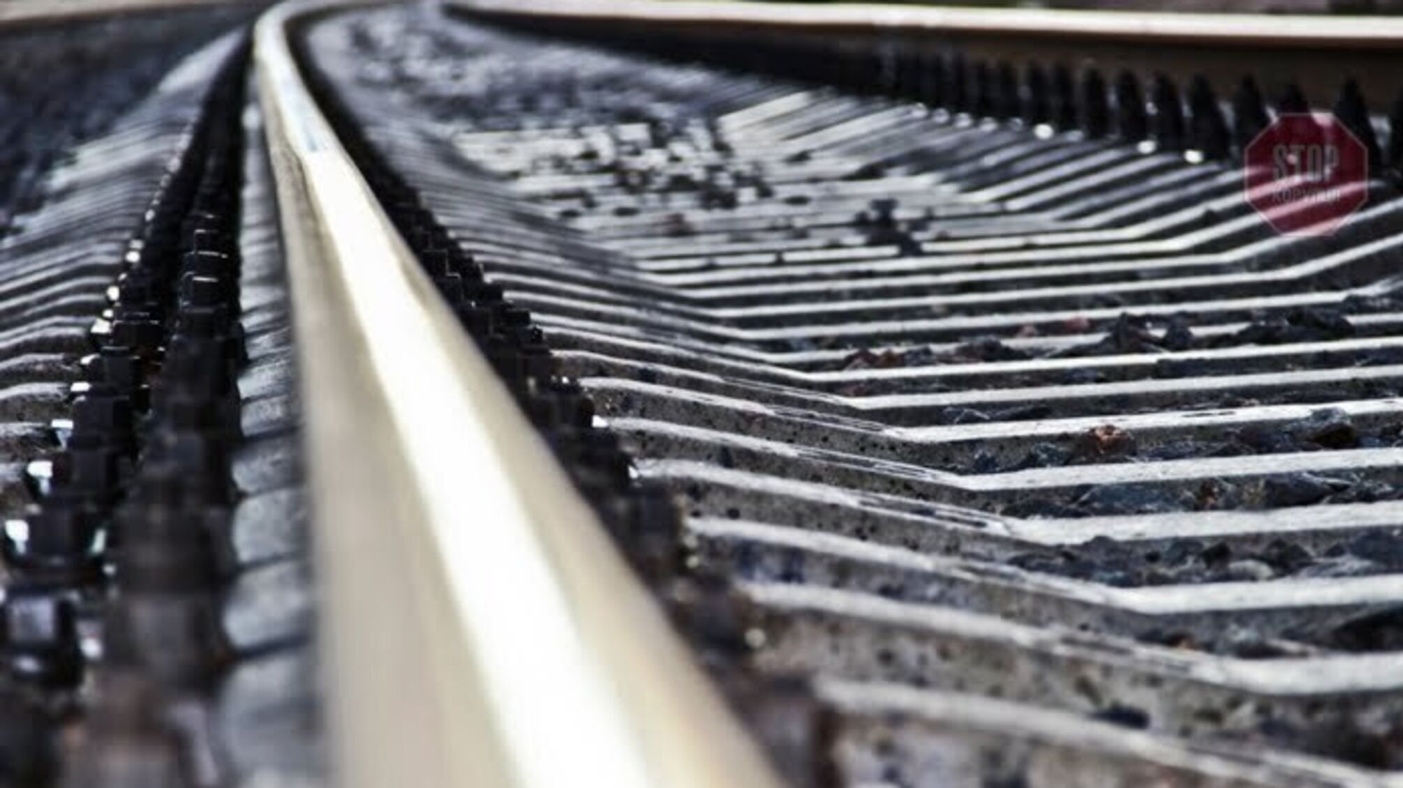 Вирішила скоїти самогубство: у Запоріжжі потяг збив жінку на залізничній колії