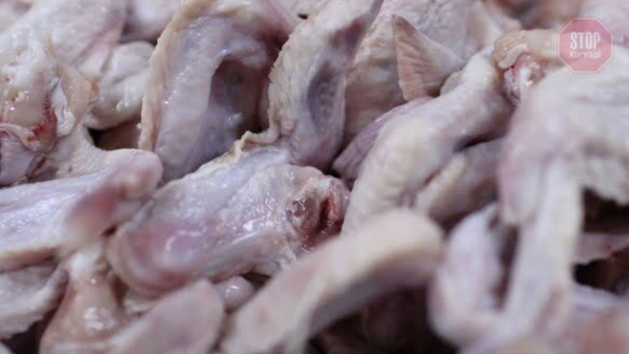 В польской курятине выявили сальмонеллу