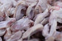 В польской курятине выявили сальмонеллу