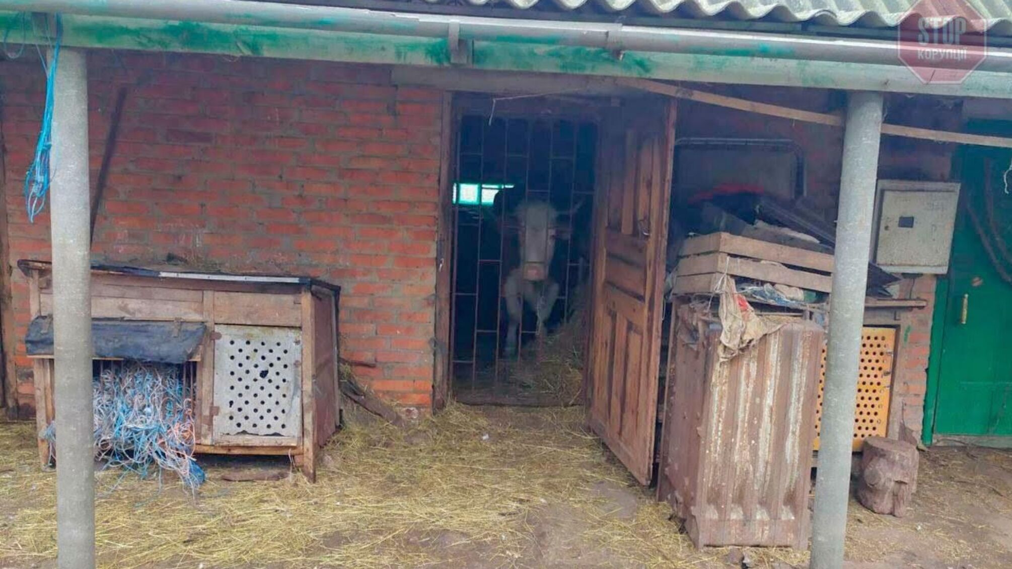 Тіло знайшли у корівнику: на Полтавщині чоловік жорстоко вбив власну матір (фото)