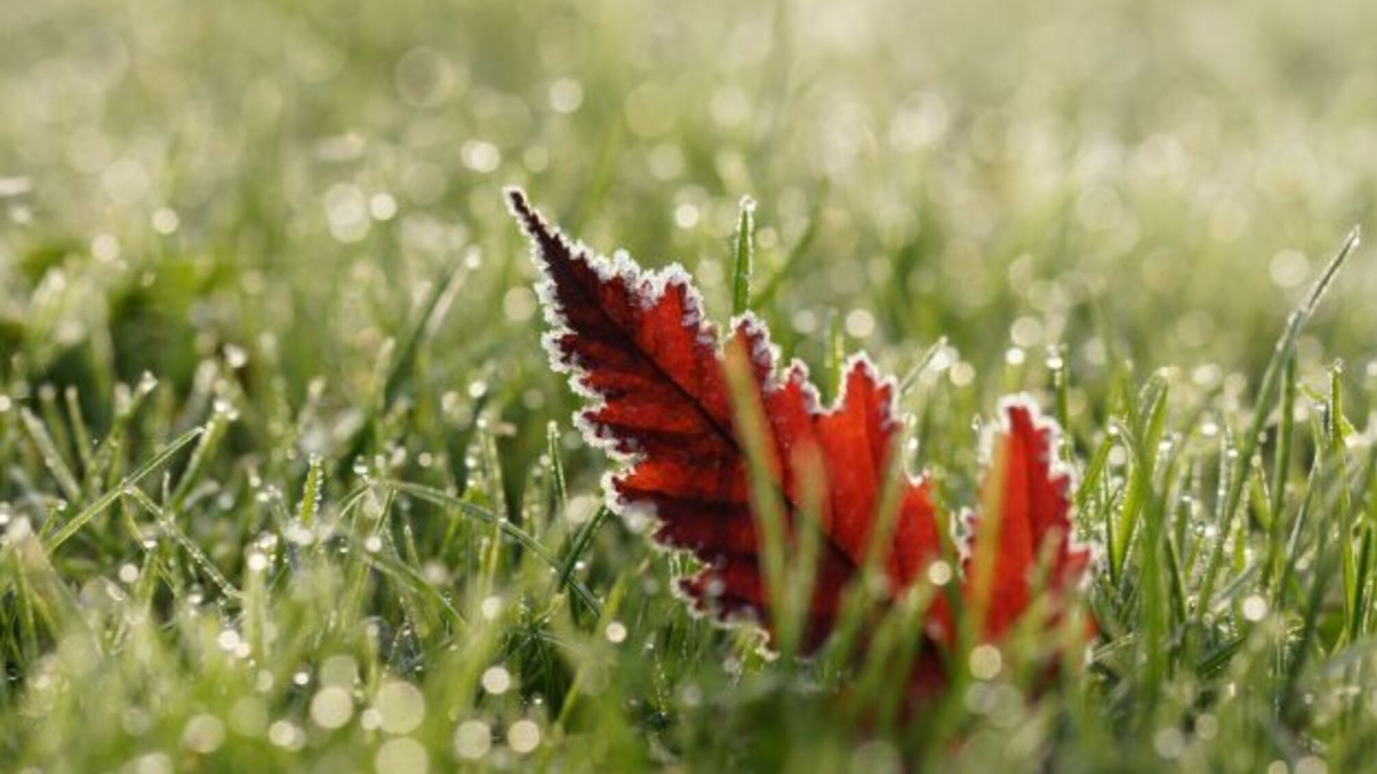 У вихідні повітря в Україні охолоне до -5°