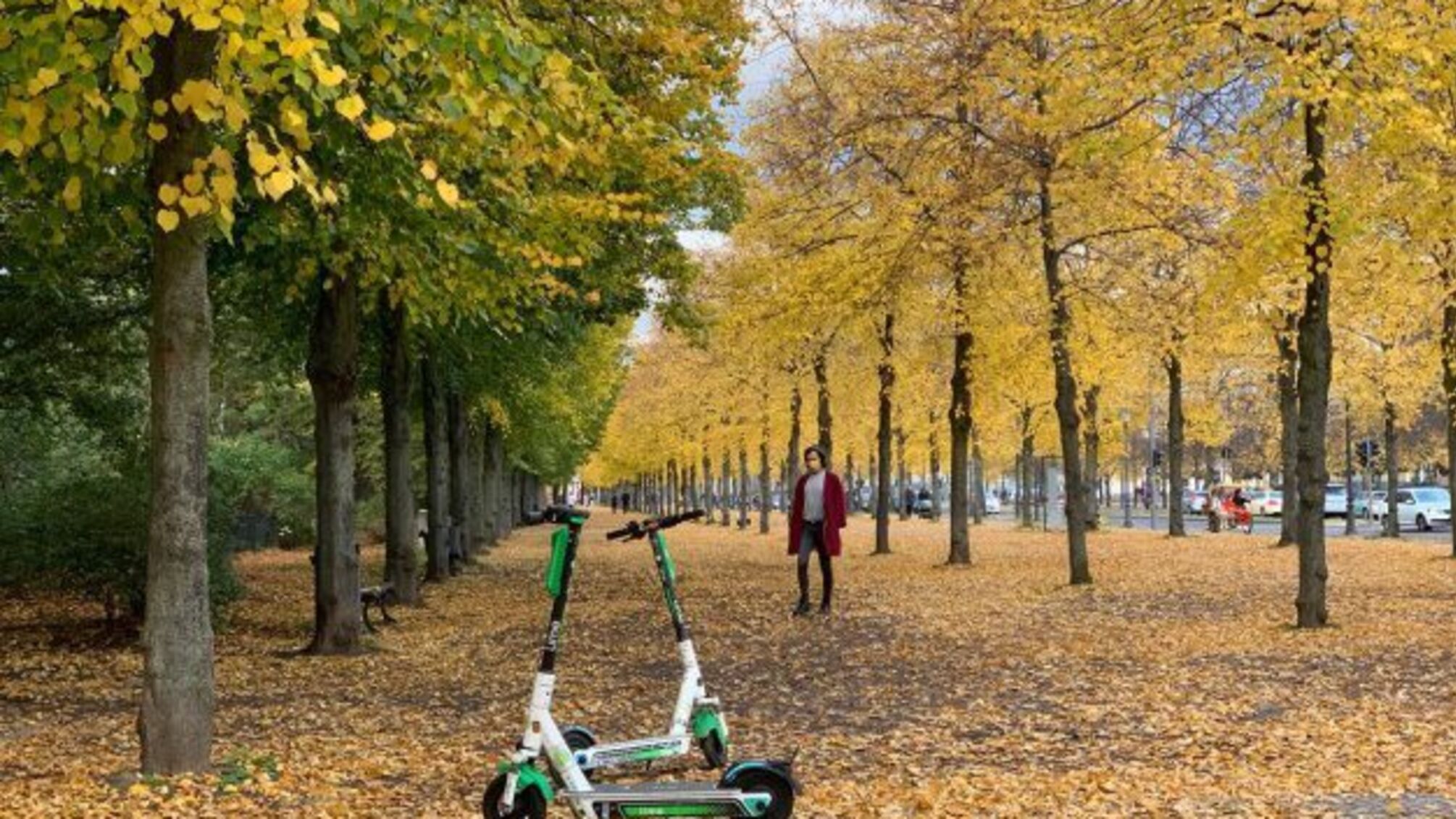 Українців чекає тиждень «бабиного літа»