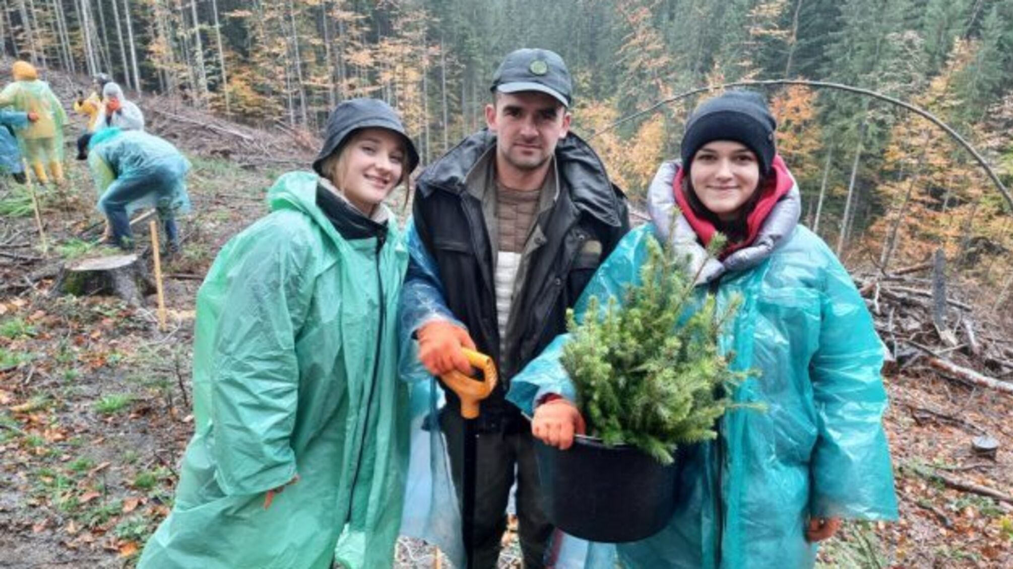 На Прикарпатті висадили понад 4 тисячі хвойних дерев