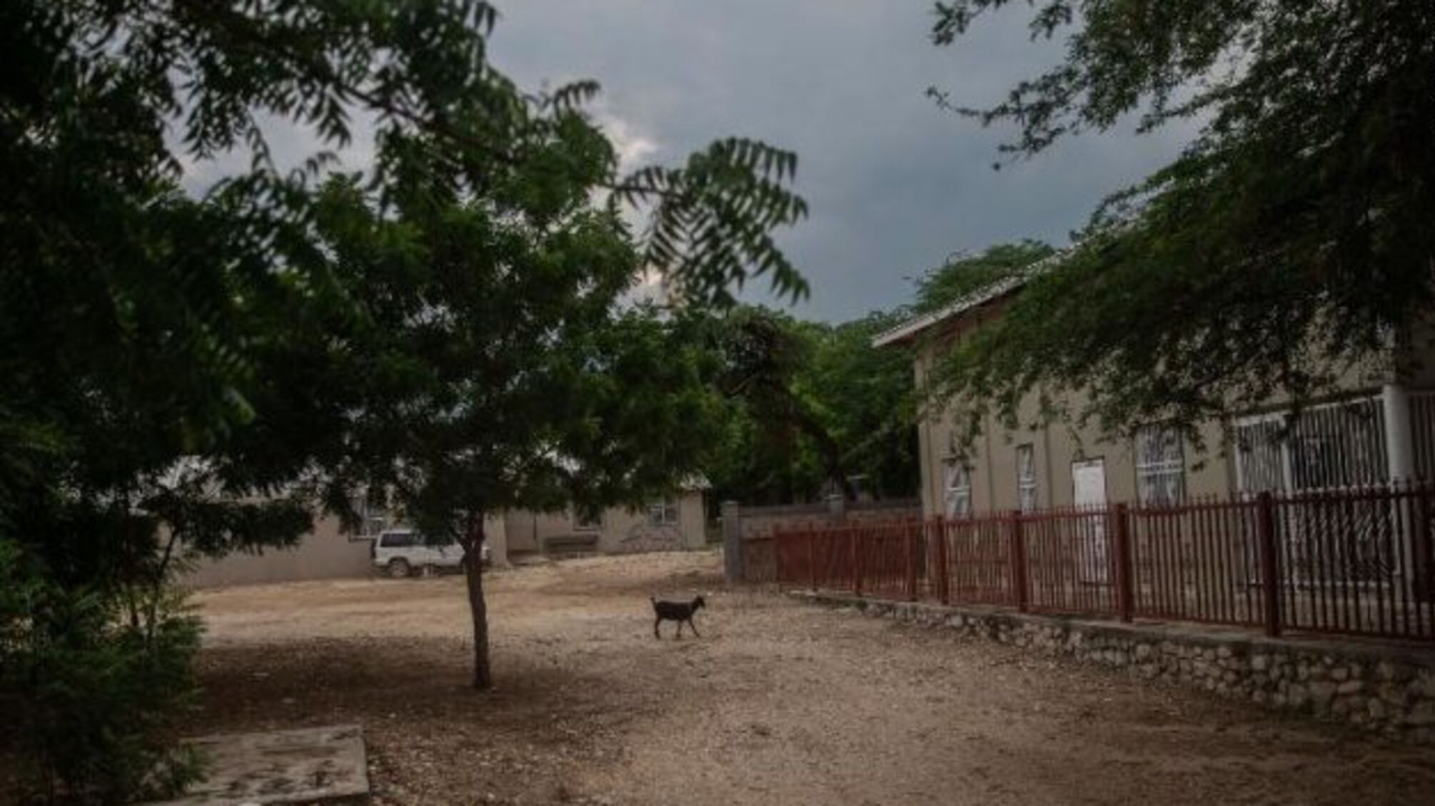 На Гаїті банда вимагає $17 мільйонів викупу за викрадених місіонерів