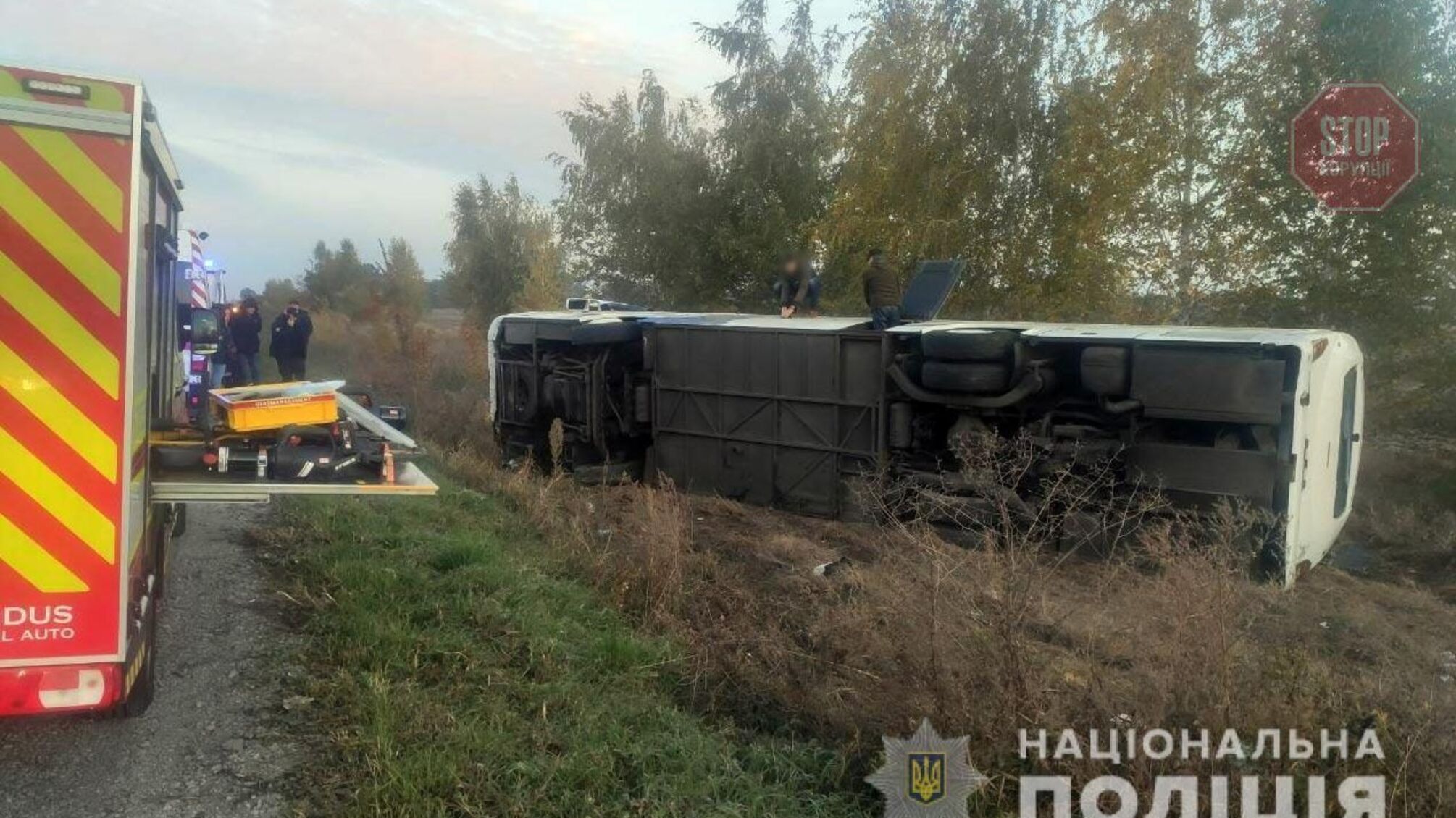 На Полтавщині перекинувся автобус, 11 осіб постраждало (фото)