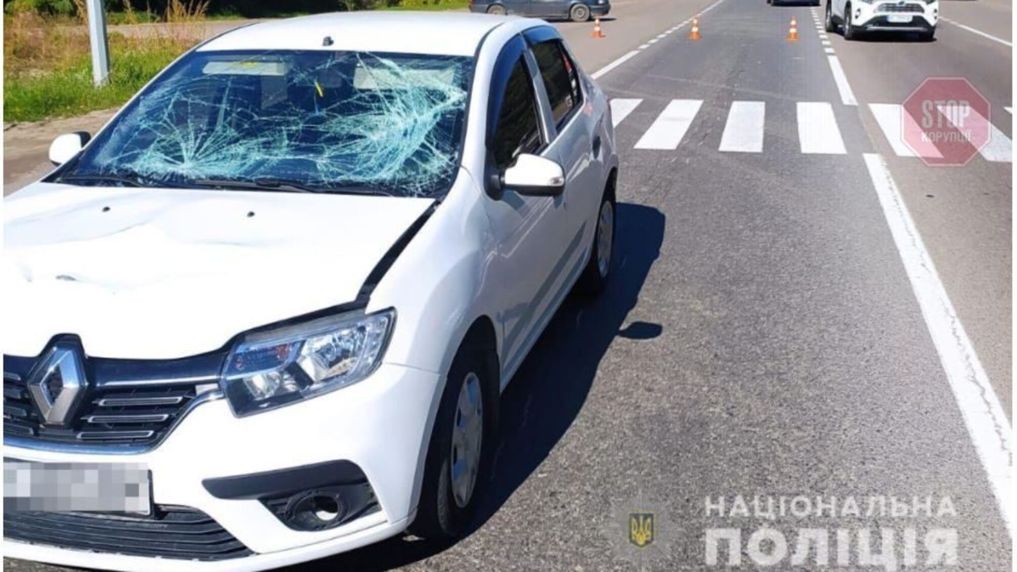 На Львівщині водій збив двох жінок