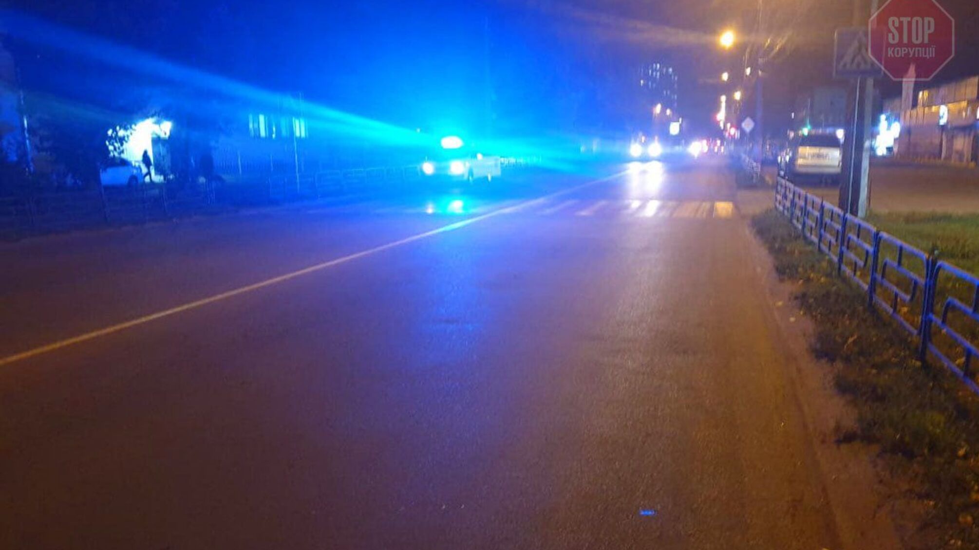 На Київщині водій збив дічинку на 'зебрі' та втік (фото)