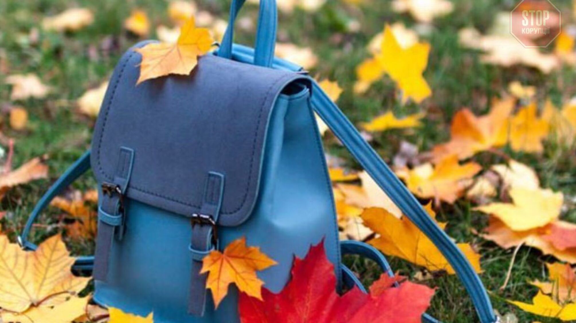 Осенние каникулы в школах Киева переносить не планируют