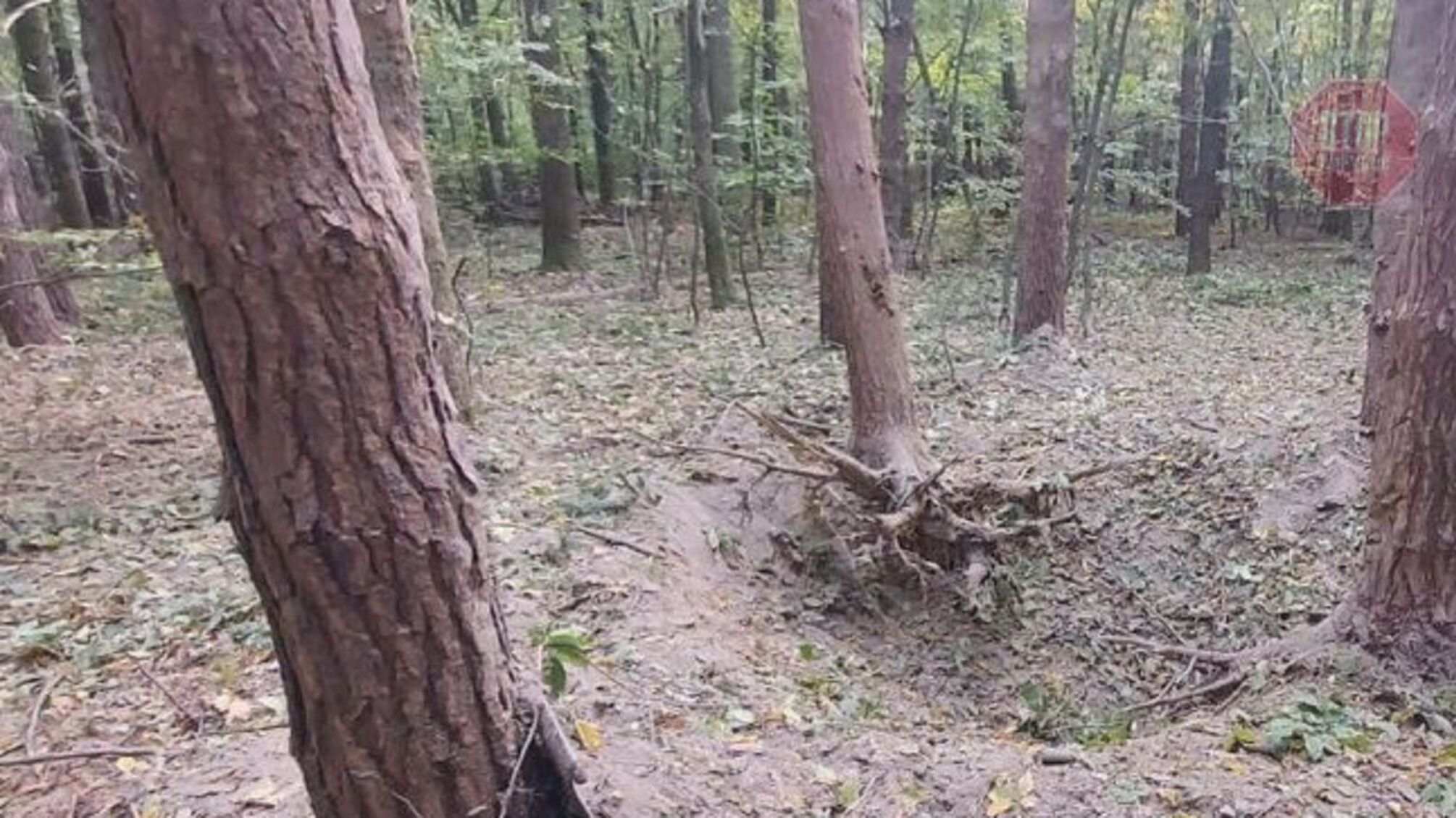 В Черновицкой области мужчина погиб при взрыве снаряда в лесу