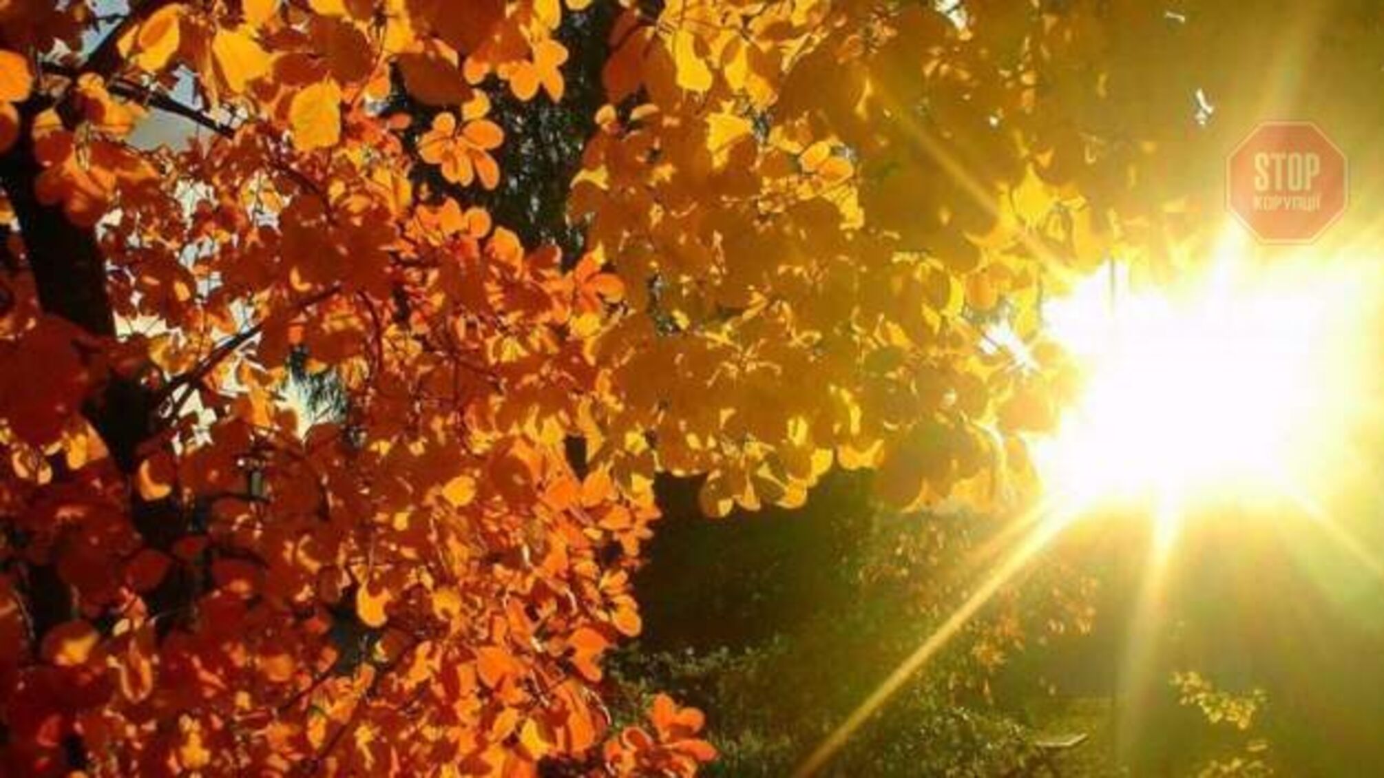 Погода 14 октября: День защитников и защитниц Украины будет солнечным и теплым