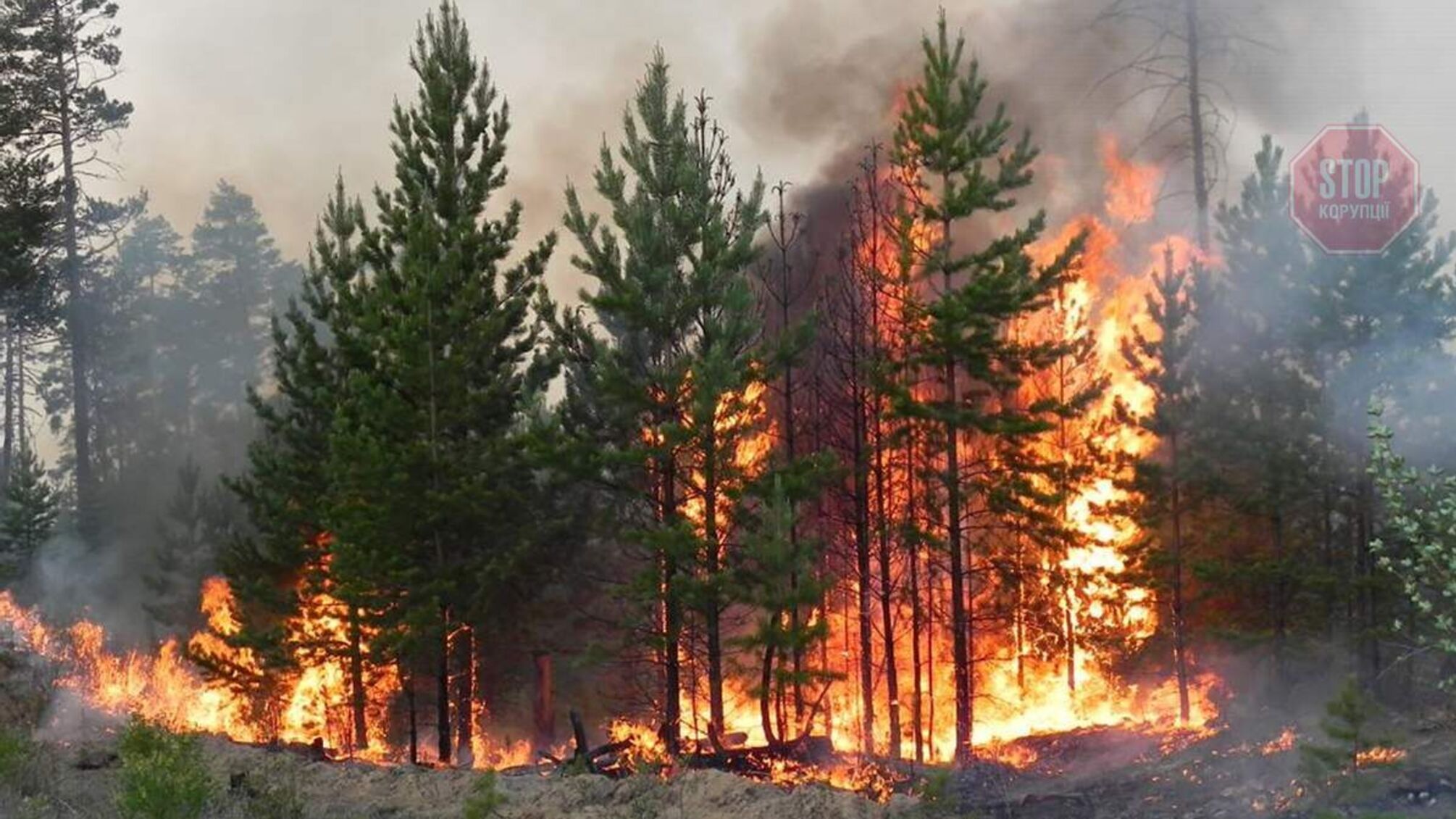 У 7 областях України оголошено надзвичайну пожежну небезпеку