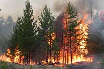 В 7 областях Украины объявлена очень высокая пожарная опасность