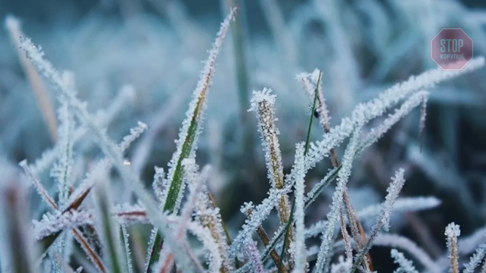Морозы до 5 градусов: синоптики рассказали о погоде в ближайшие дни