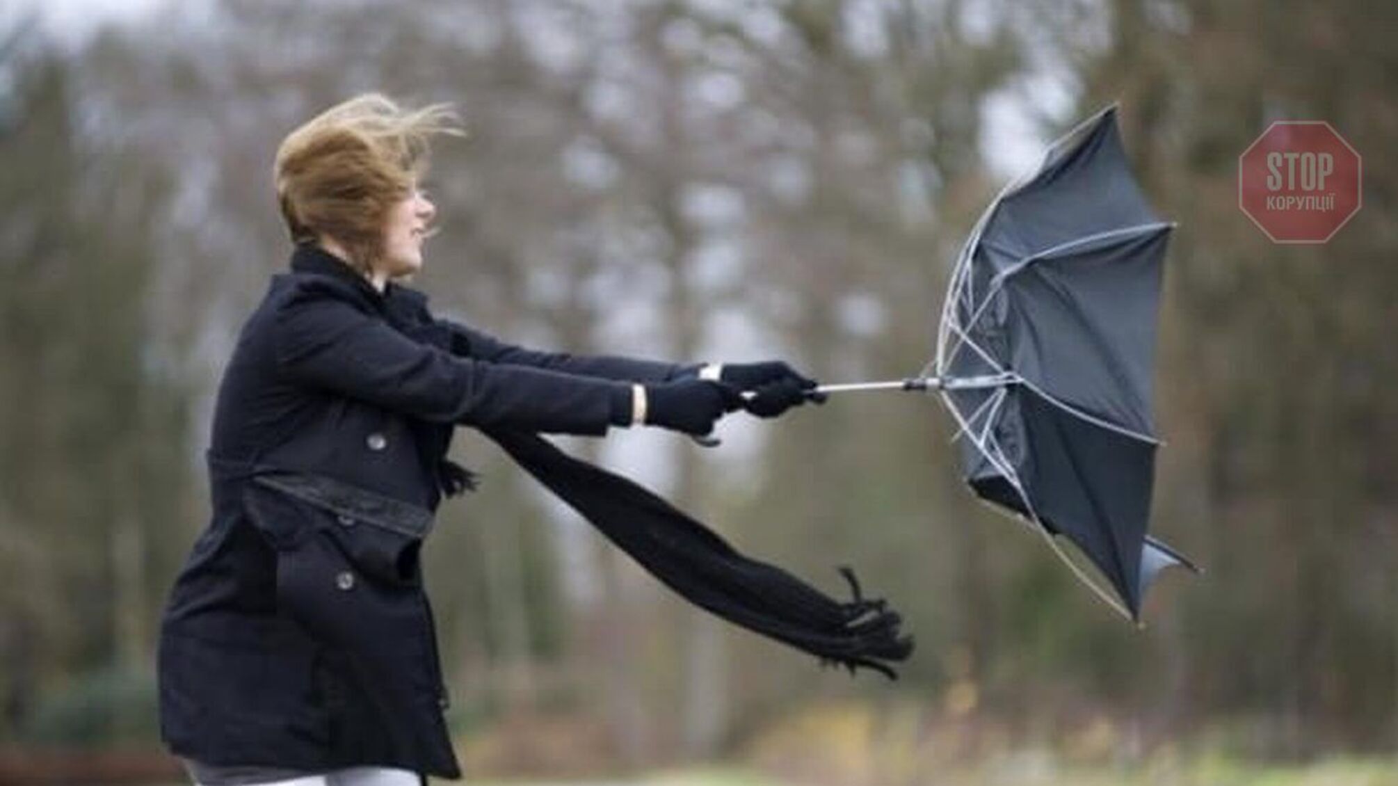 Штормове попередження оголосили у Києві та області