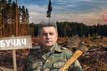 Очільника управління лісового господарства Тернопільщини Яремка судитимуть за недбалість